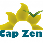 Site Capzen.info